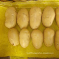 Fresh Holland Potato Mesh Package